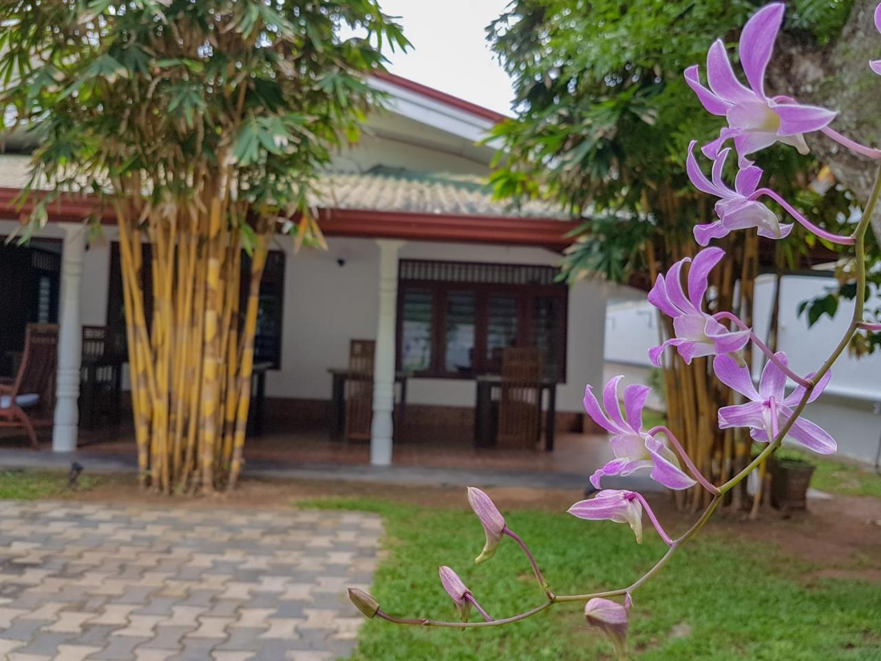 White Villa Beach Resort Mirissa Extérieur photo